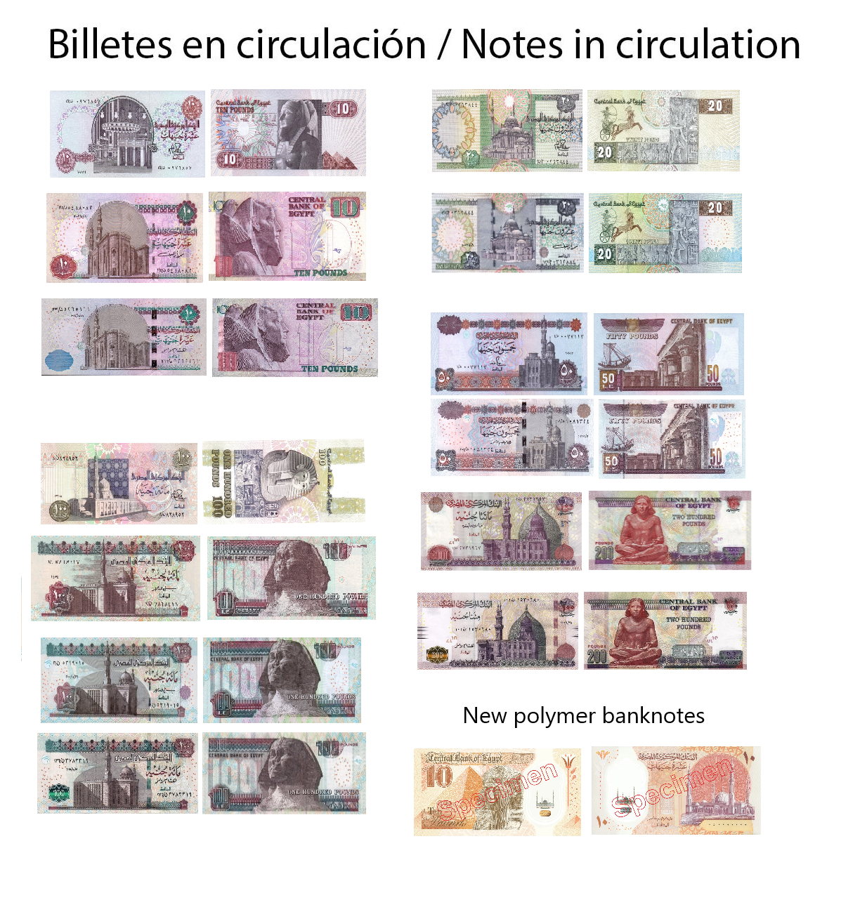 Cotización y cambio de libra egipcia (EGP) Eurochange